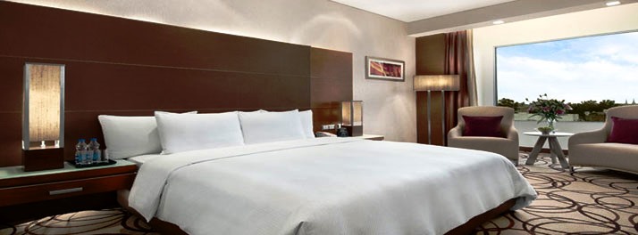 1195/Piccadily Hotel - New Delhi 11.jpg